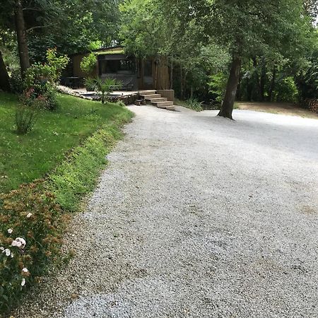 Bus Atypique Au Bord Du Canal Du Midi Et Au Coeur D'Une Foret 2 Chambres Villepinte  Екстериор снимка