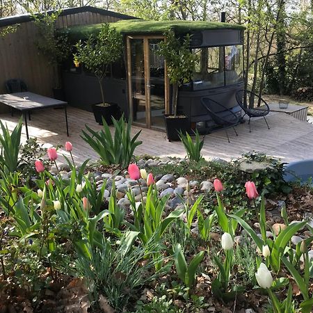 Bus Atypique Au Bord Du Canal Du Midi Et Au Coeur D'Une Foret 2 Chambres Villepinte  Екстериор снимка