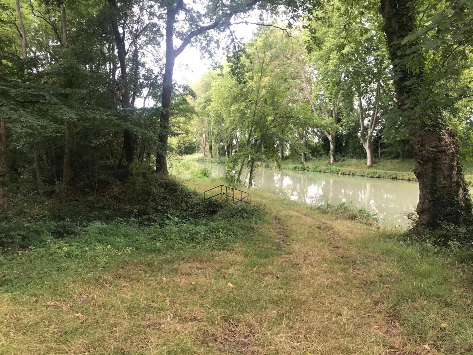 Bus Atypique Au Bord Du Canal Du Midi Et Au Coeur D'Une Foret 2 Chambres Villepinte  Екстериор снимка