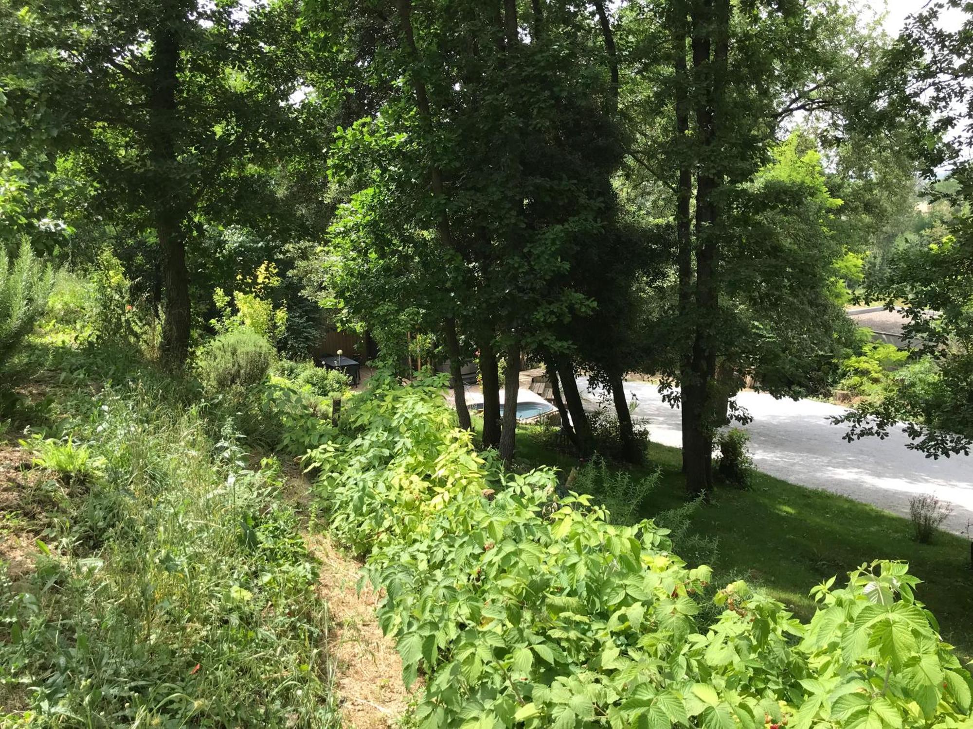Bus Atypique Au Bord Du Canal Du Midi Et Au Coeur D'Une Foret 2 Chambres Villepinte  Екстериор снимка