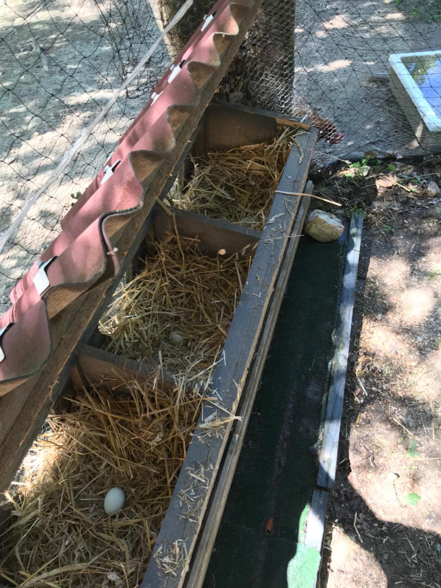 Bus Atypique Au Bord Du Canal Du Midi Et Au Coeur D'Une Foret 2 Chambres Villepinte  Екстериор снимка