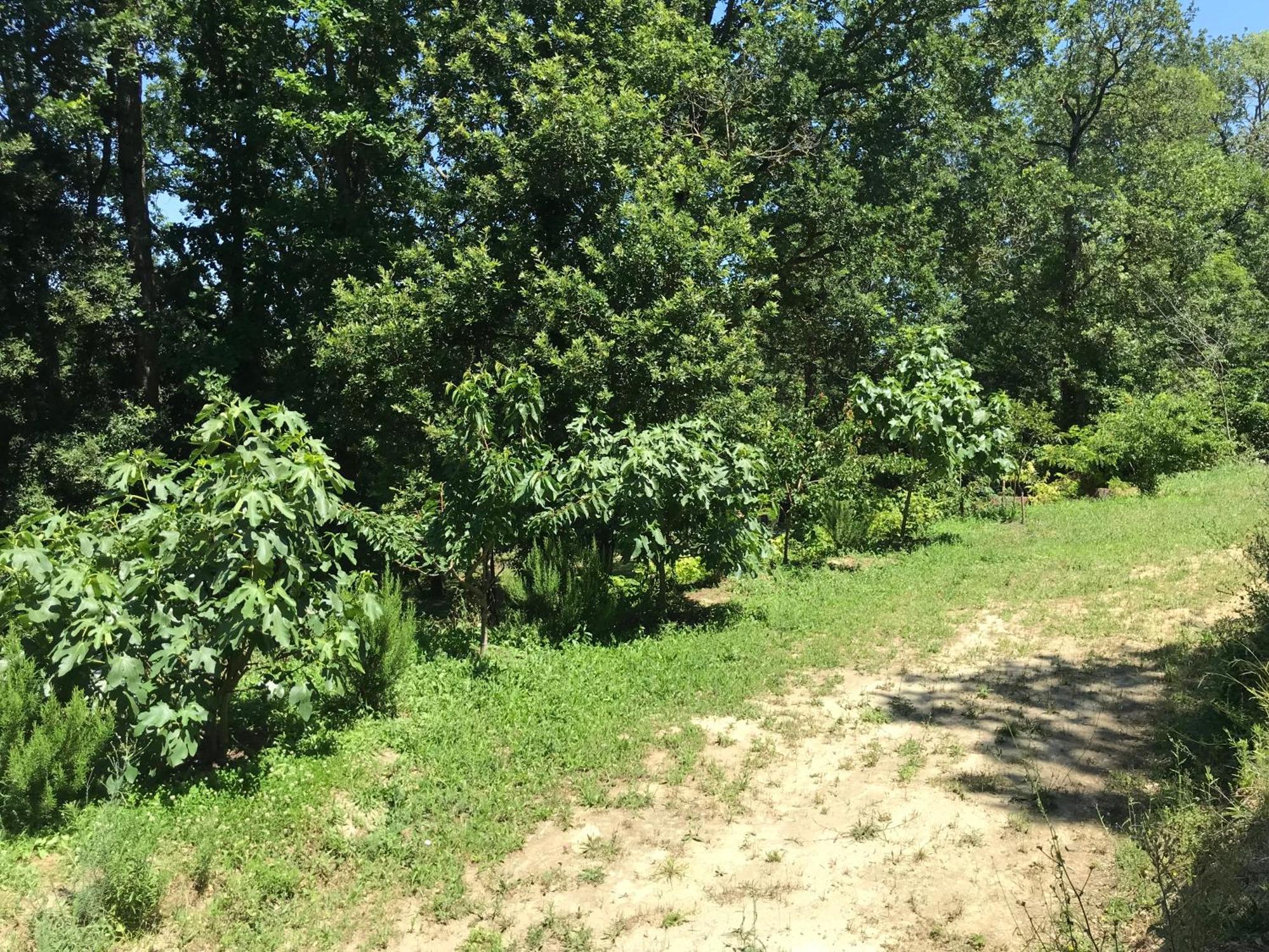 Bus Atypique Au Bord Du Canal Du Midi Et Au Coeur D'Une Foret 2 Chambres Villepinte  Екстериор снимка