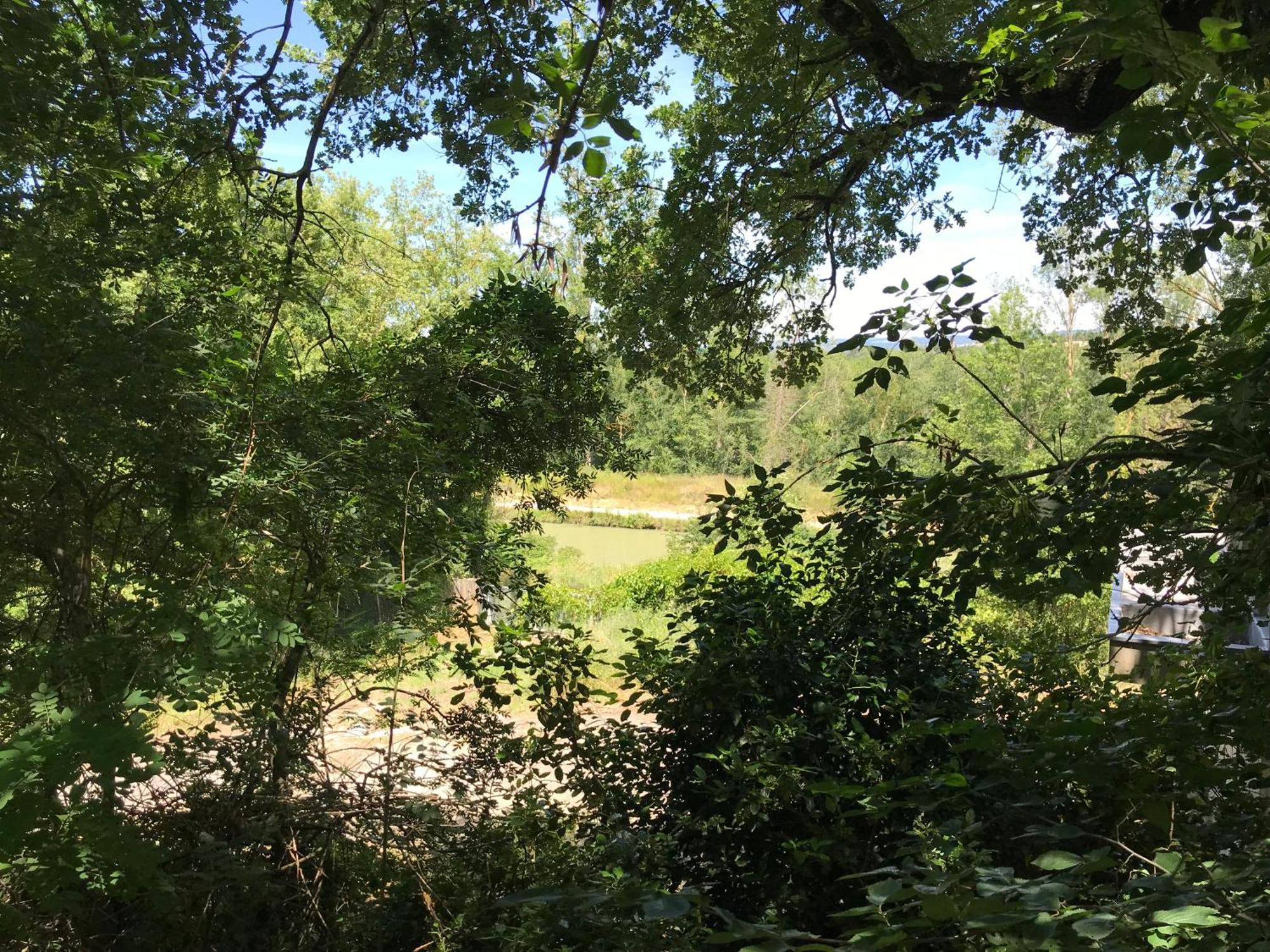 Bus Atypique Au Bord Du Canal Du Midi Et Au Coeur D'Une Foret 2 Chambres Villepinte  Екстериор снимка